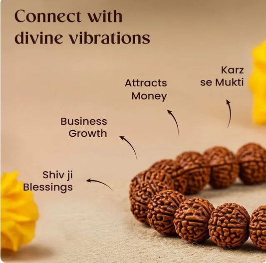 7 Mukhi Rudraksha Bracelet – Spiritual Healing Beads for Wealth, Health & Positivity